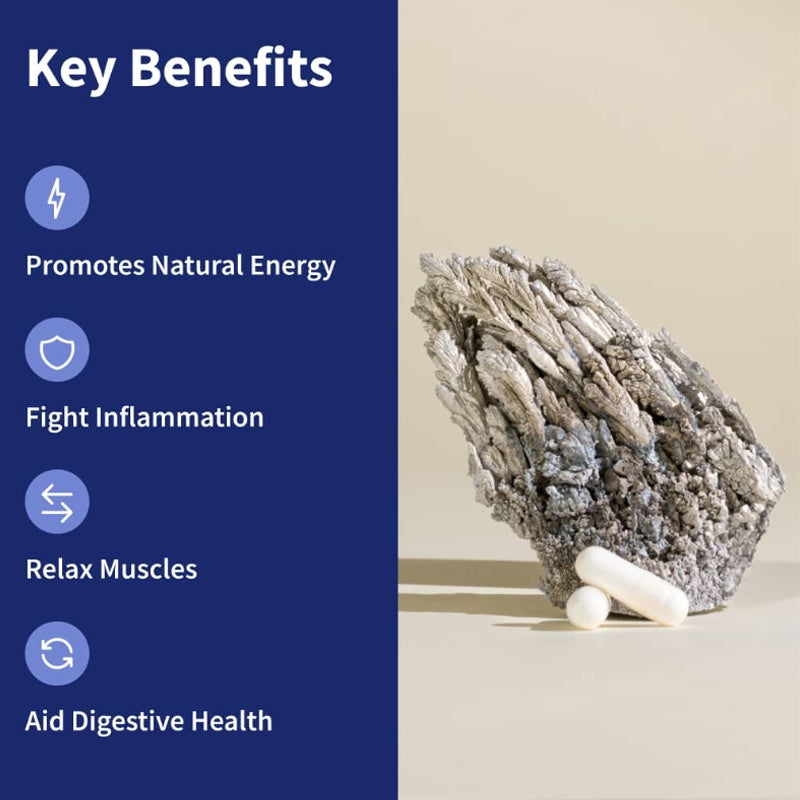Muscle Wellness Supplement