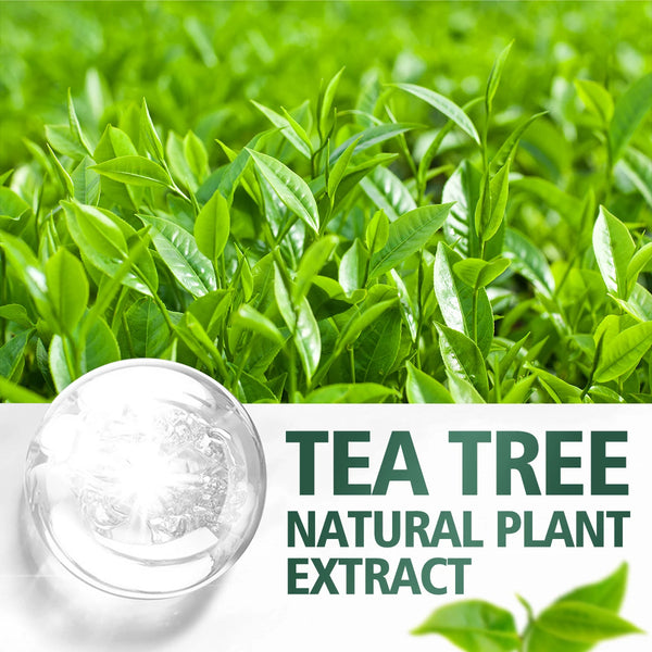 Tea tree essential oil, extracted from natural plants